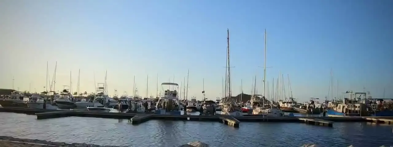 Marina viewed from the dock during assessment